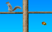 Bu-squirrels-ilə-qoz-fındıq-silkələmək