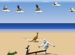 Penguin-beach-yeti-kirol-4-abiaraztea